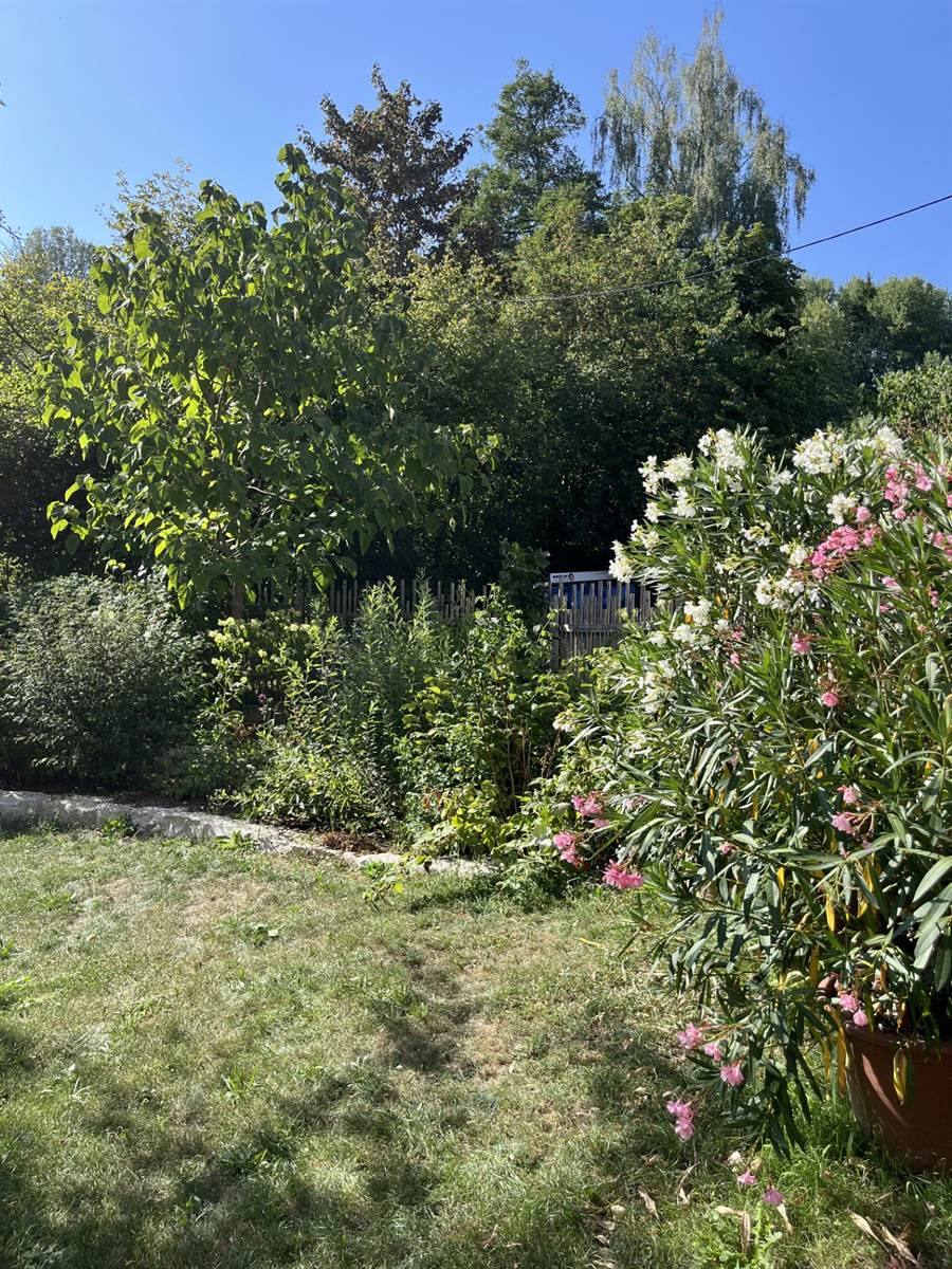 Staudenbeet mit Natursteinkante am Rasen, dahinter Sträucher und ein Holzzaun